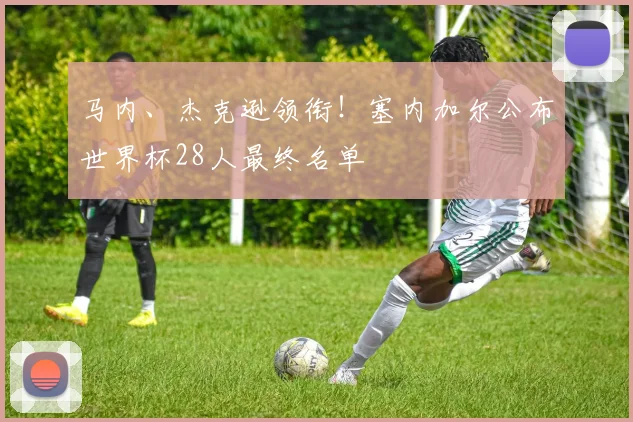 马内、杰克逊领衔！塞内加尔公布世界杯28人最终名单