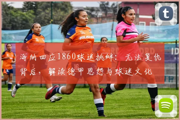 海纳回应1860球迷挑衅:无法复仇背后,解读德甲恩怨与球迷文化